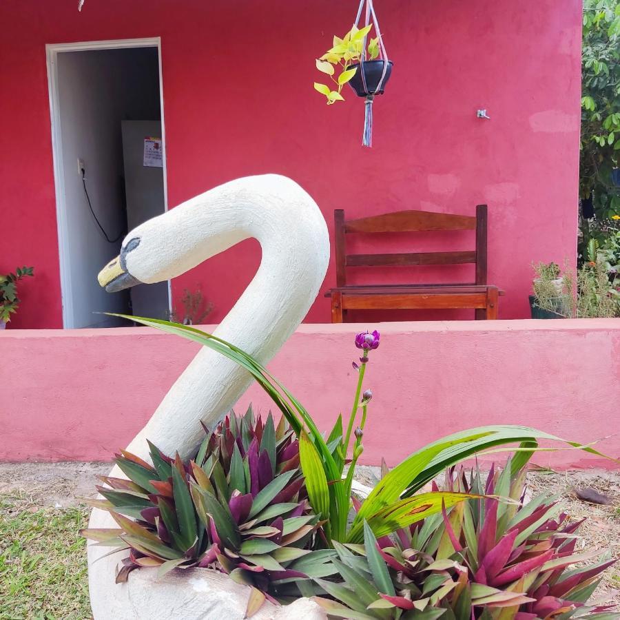 Espaco Slow Living Flor Do Pantanal Piraputanga Exteriör bild